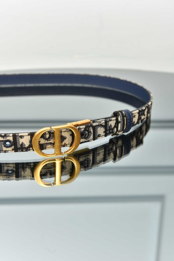 Oblique Canvas 30 Montaigne Belt - Image 2