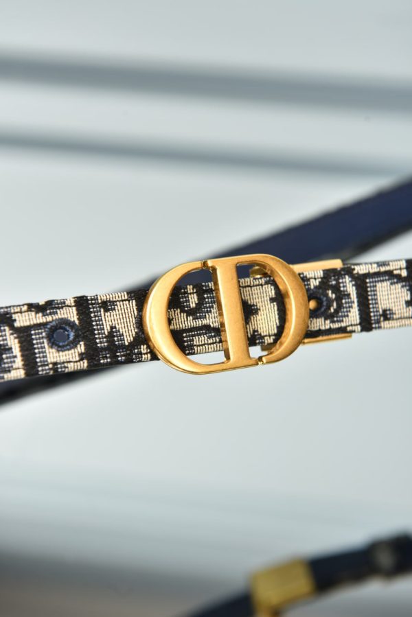 Oblique Canvas 30 Montaigne Belt - Image 7