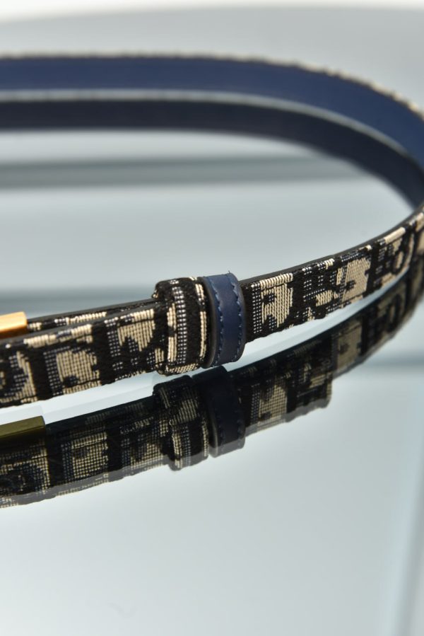 Oblique Canvas 30 Montaigne Belt - Image 5
